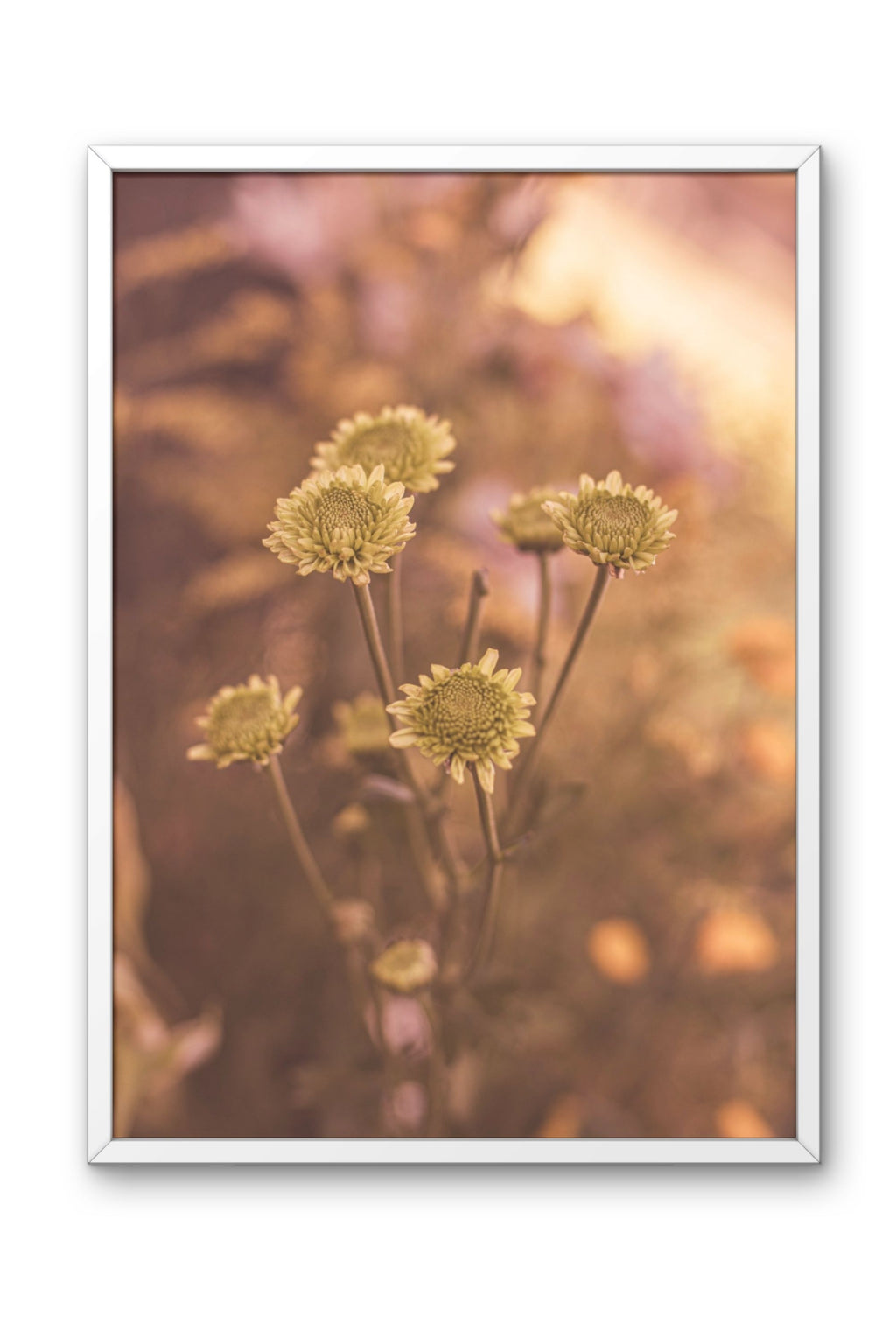 Golden Flower