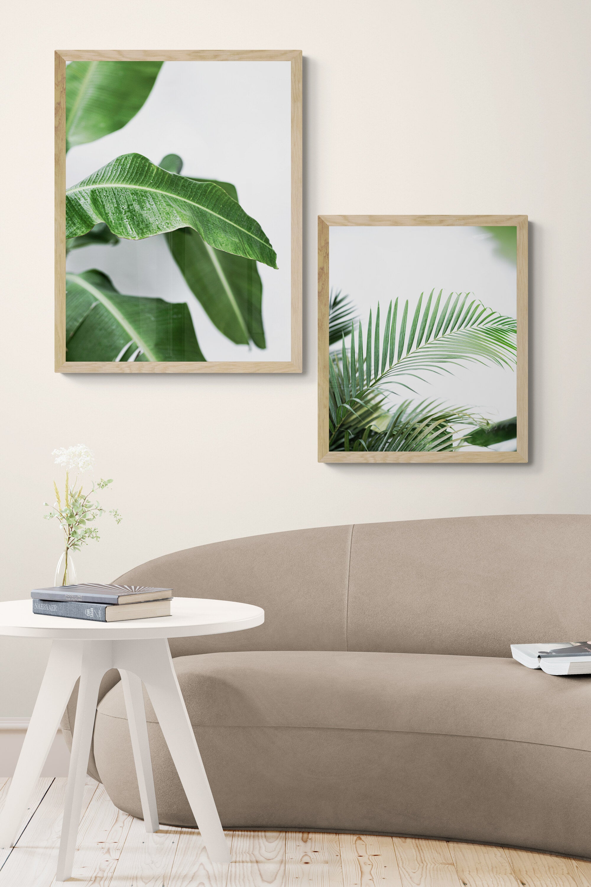 Small palm tree
