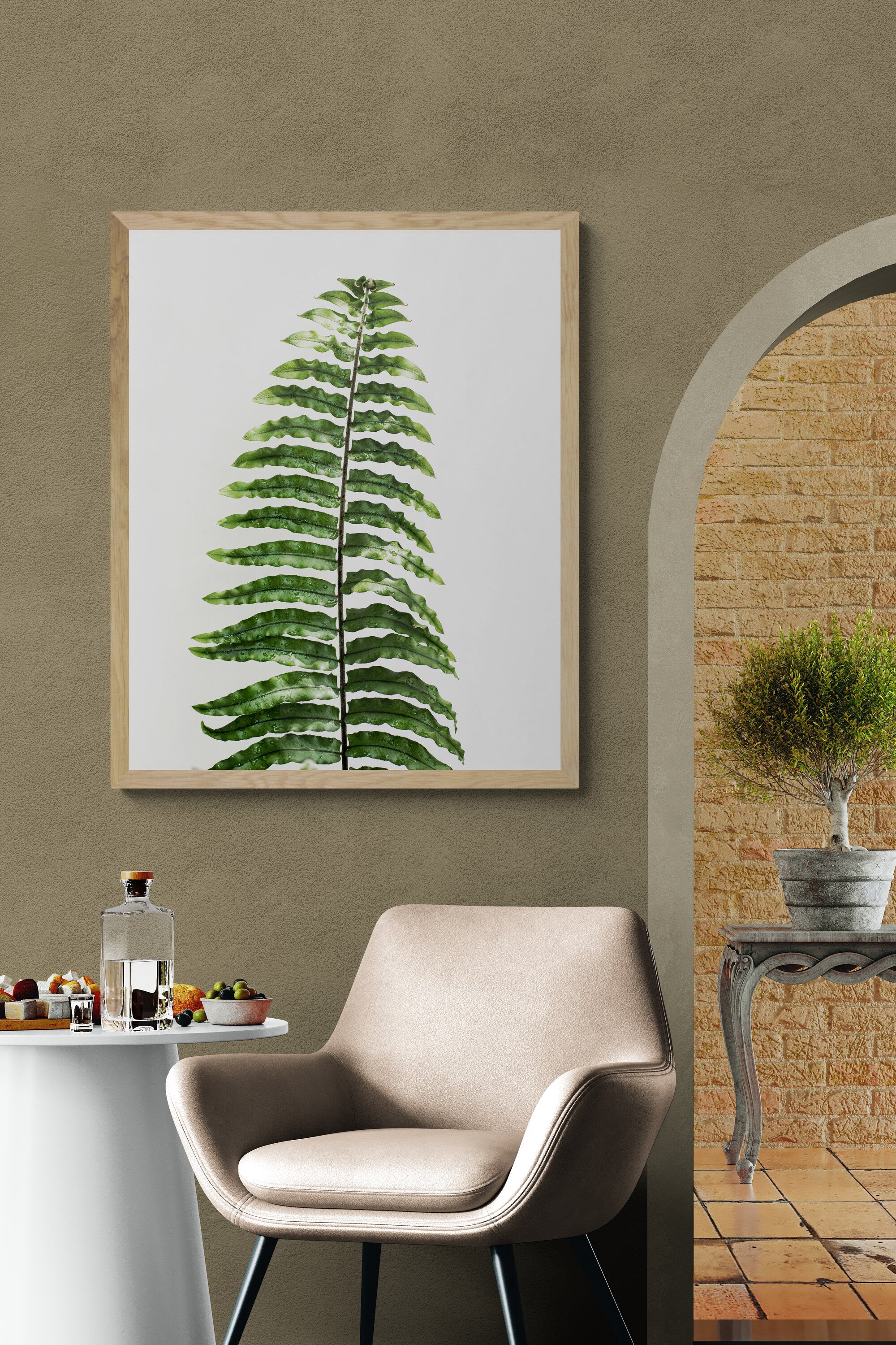 Fern