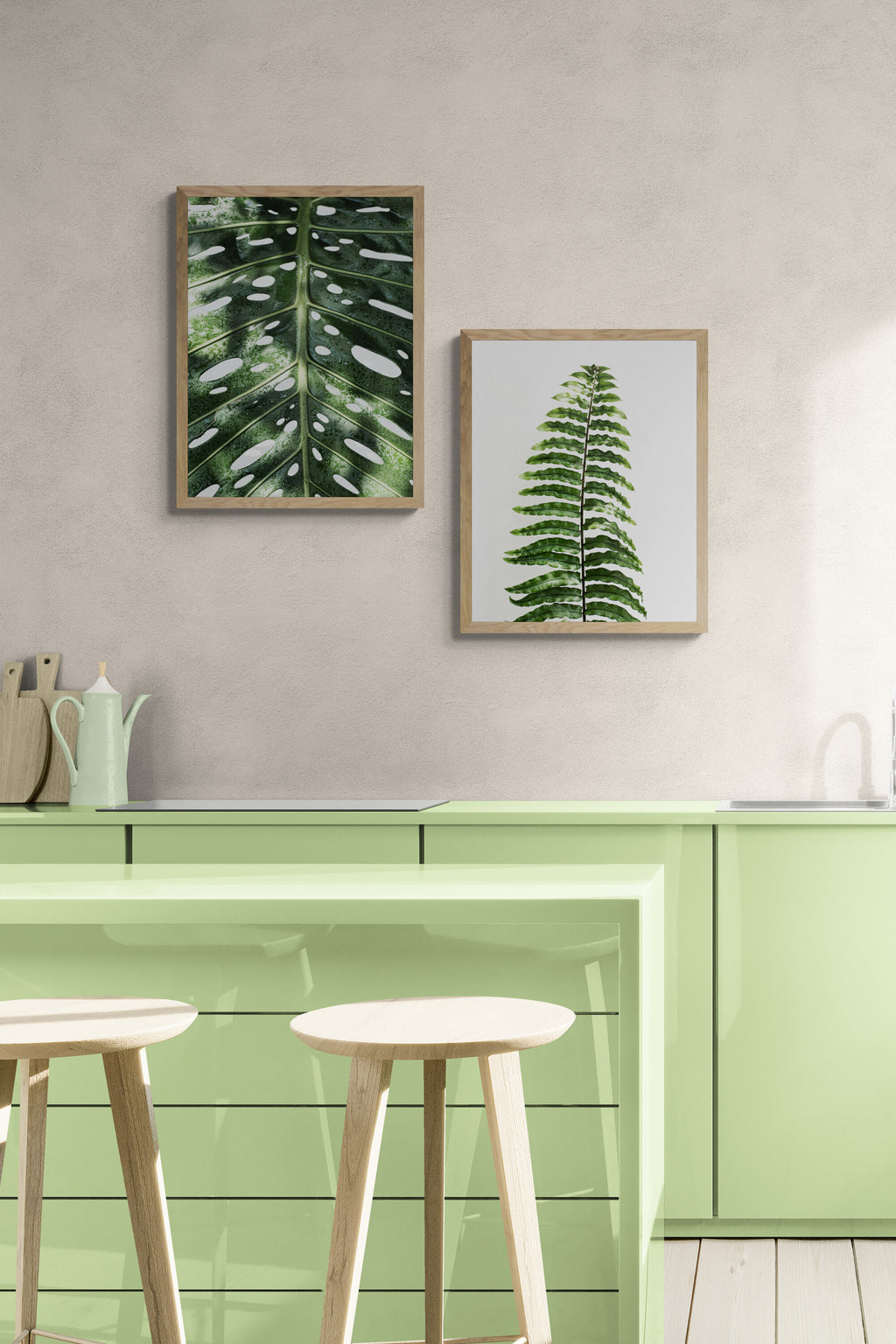 Fern