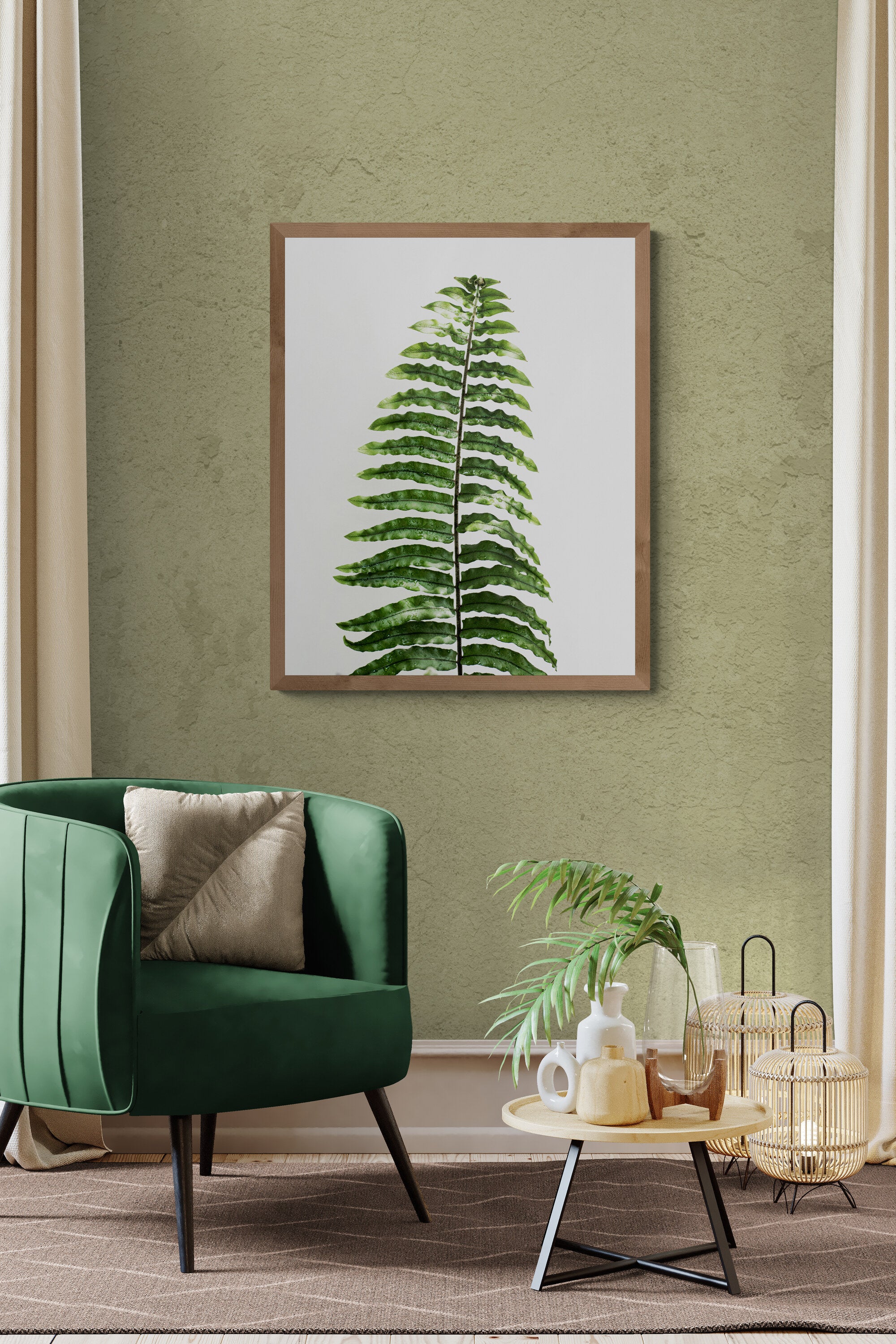 Fern