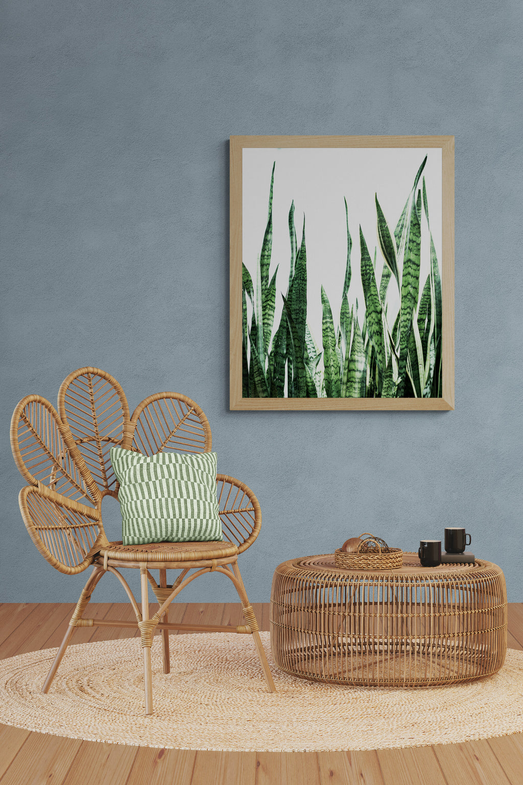 Snake Plant