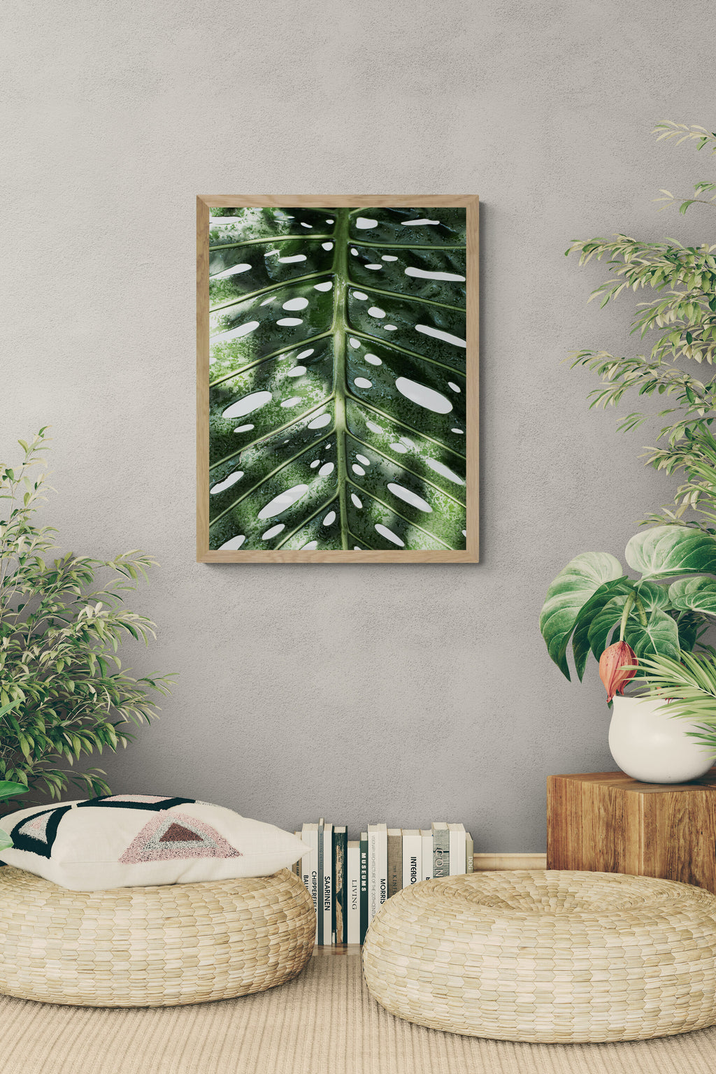 Monstera Deliciosa