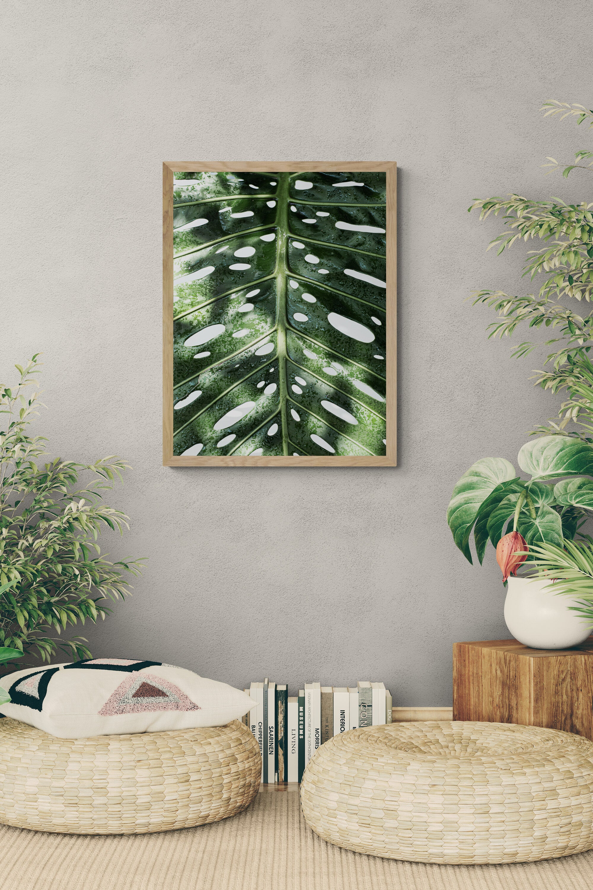 Monstera Deliciosa